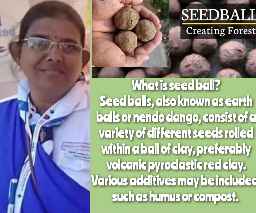 GO GREEN WITH SEED BALLS World Scouting