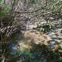 A Glimpse of Our Baakens Valley River Spot