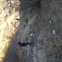 Total Number of Participants 24