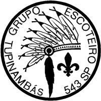 Profile picture for user getupinambas@gmail.com