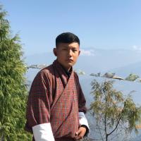 Profile picture for user sonam tashi 