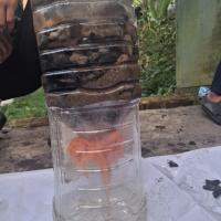 An initiative for Clean Water and Sanitation