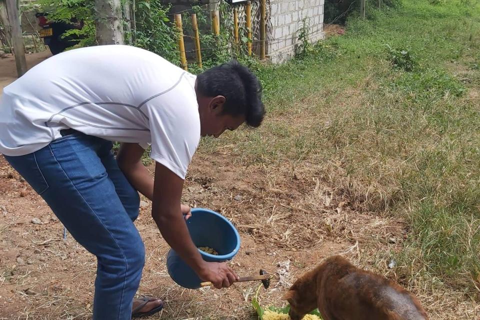 Giving food for street dogs World Scouting