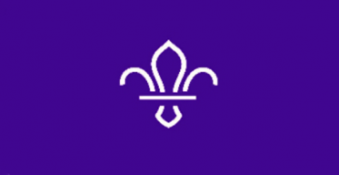 Scouts
