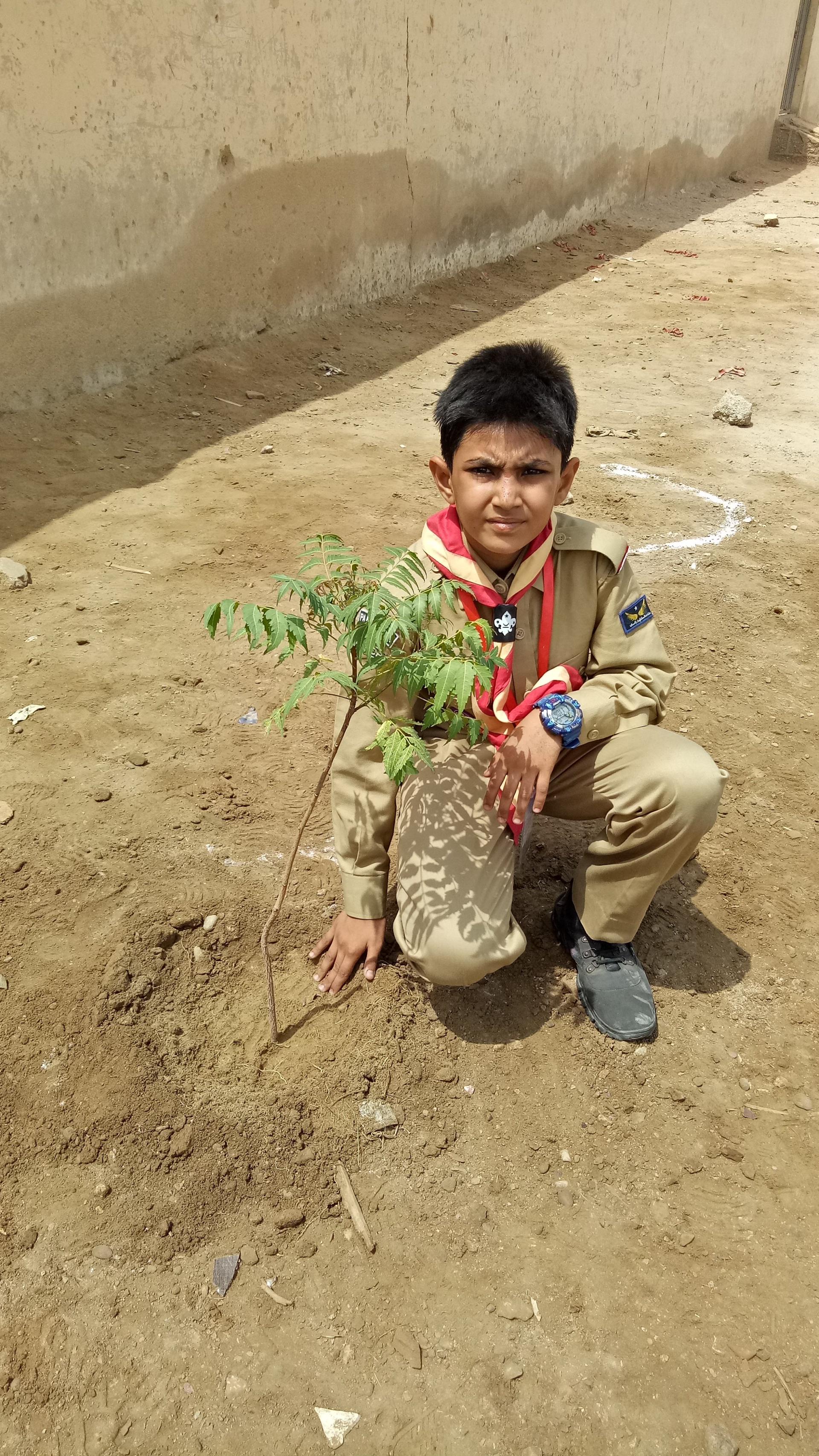 PAKISTAN MoP Activity/PLANTATION World Scouting