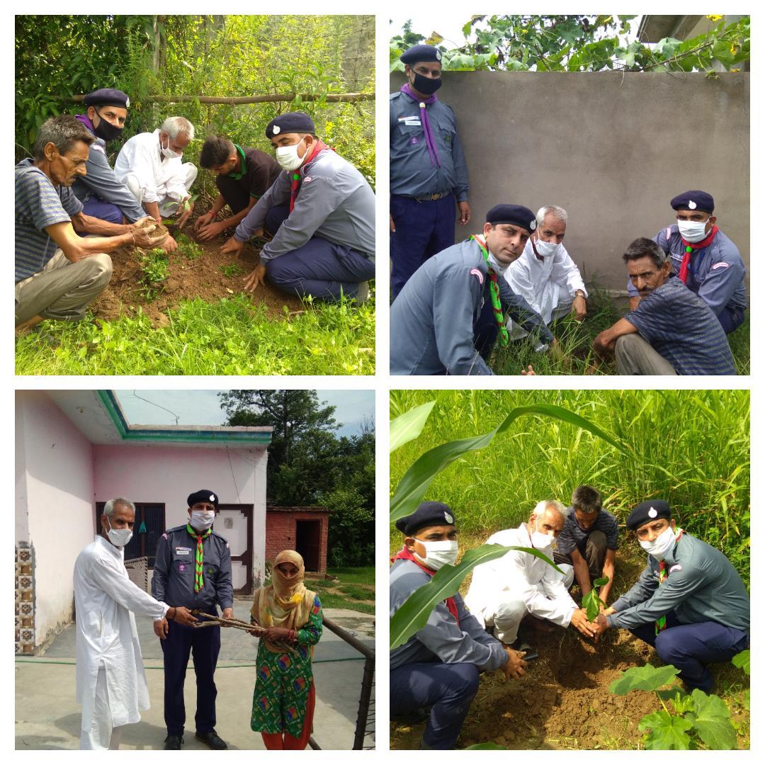 HERBS DAY CELEBRATION World Scouting