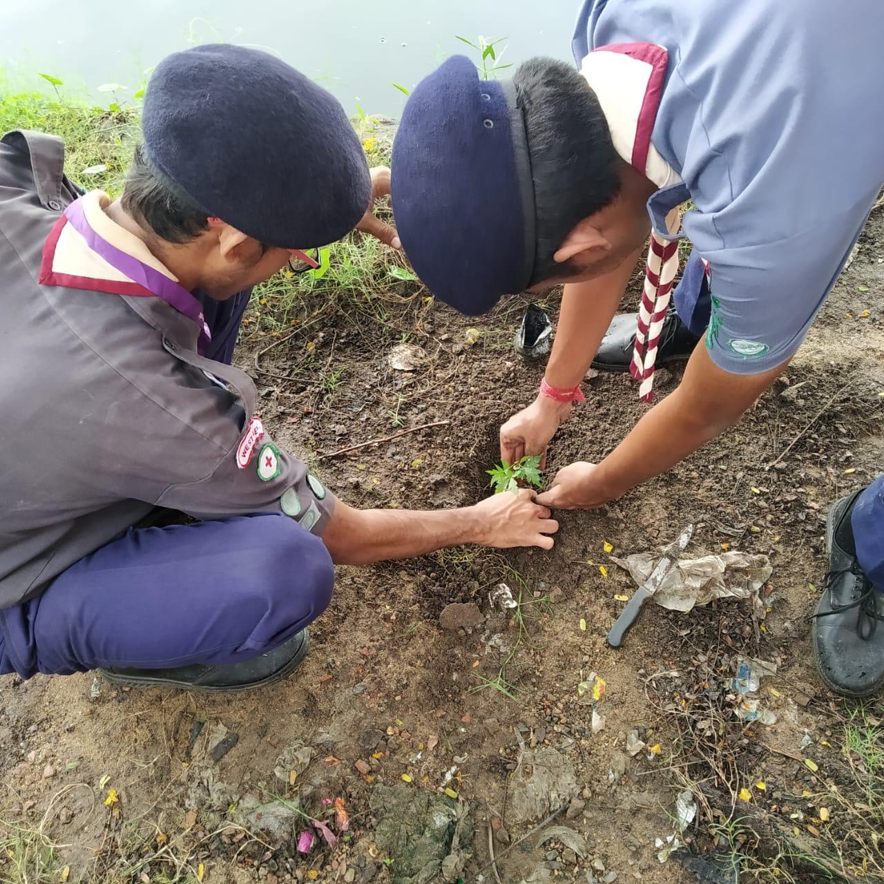 Planting trees for a better tomorrow. World Scouting