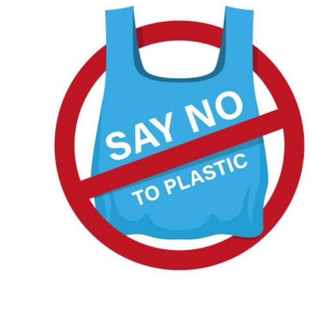 how long until its gone World Scouting