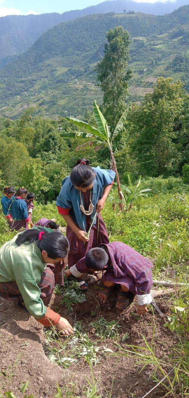 Planting trees for future generation World Scouting