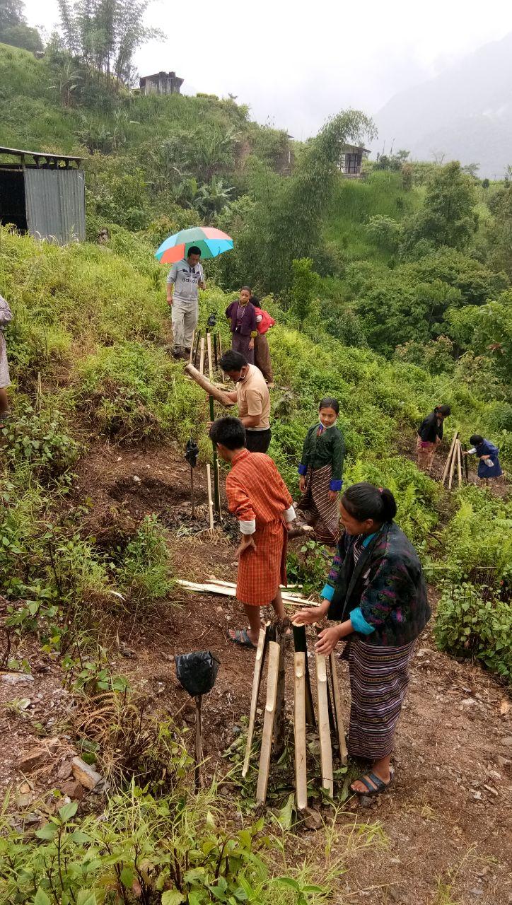 Planting trees for future generation World Scouting