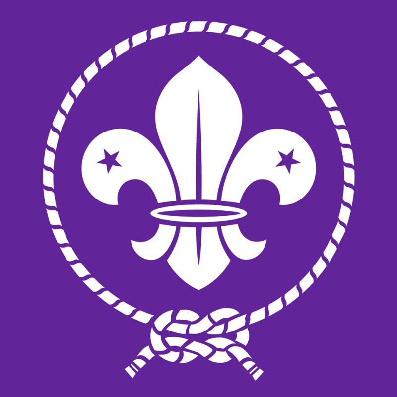 Jamboree Scout Mundial – Casos reportados de Meningitis