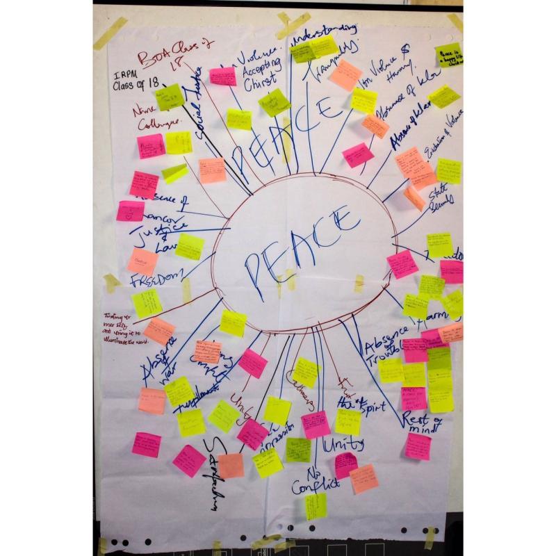 The Scout Association of Nigeria celebrated International Peace Day with her Varsity Scouts.