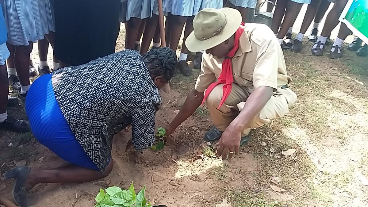 Hatfield Girls High Tree Planting