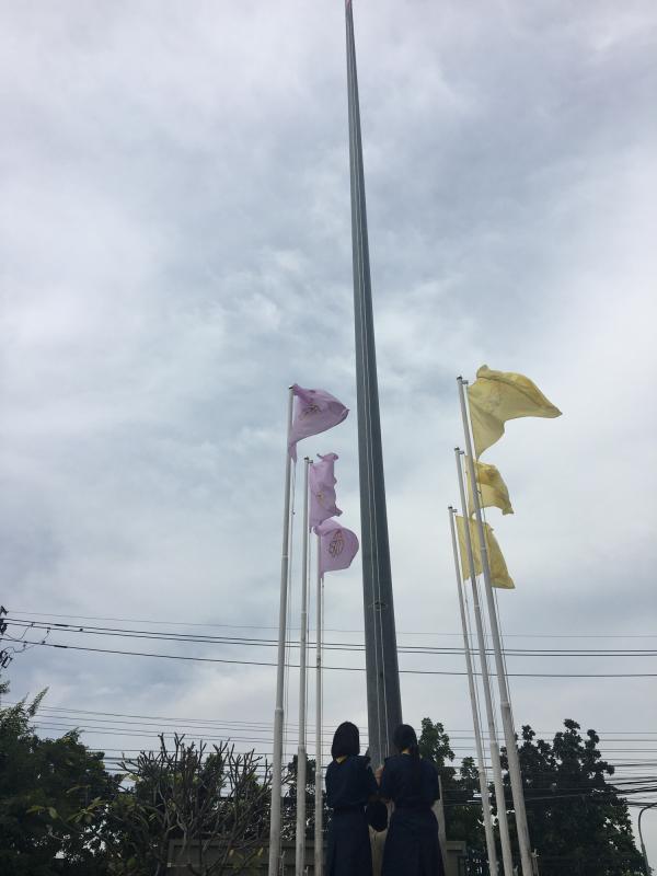 ชักธงชาติขึ้นสู่เสา