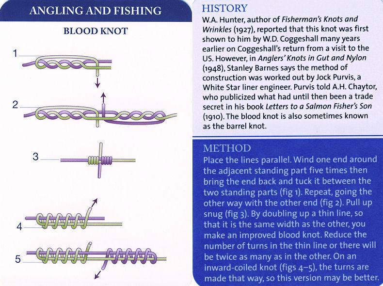 Scouts Love Knots! Blood Knot