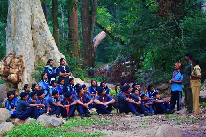 Nature Study Camp
