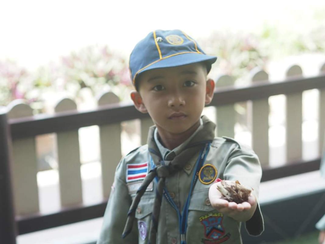 รักษาความสะอาด 