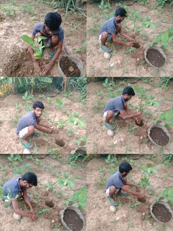 IDP2020 ACTIVITY 8.9-PLANT A TREE