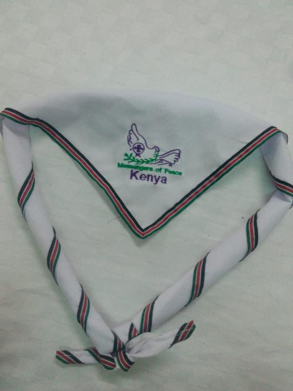 Messengers of Peace Training