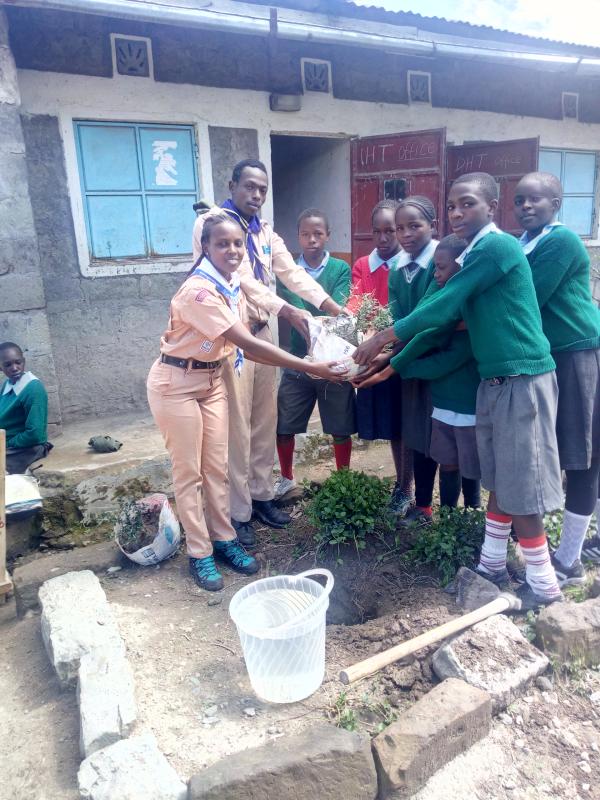 The Brown Olive Project.