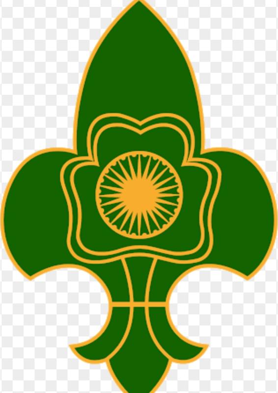 Tree plantation program