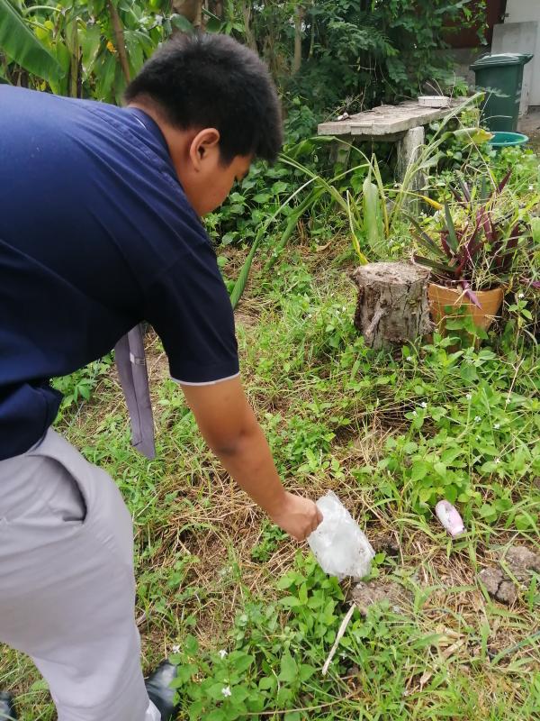 เก็บขยะ