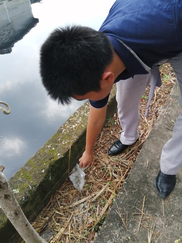 เก็บขยะ