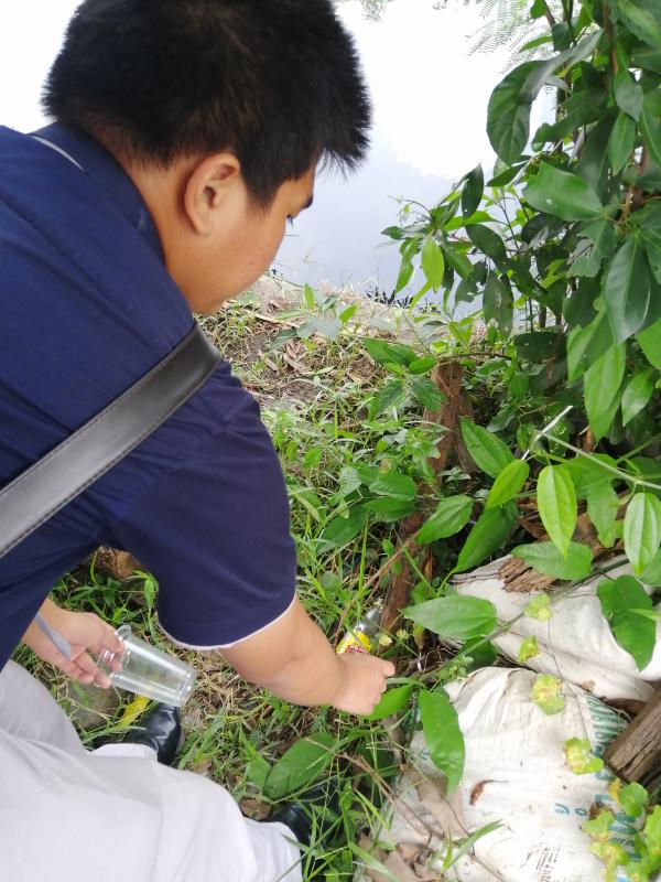 เก็บขยะ