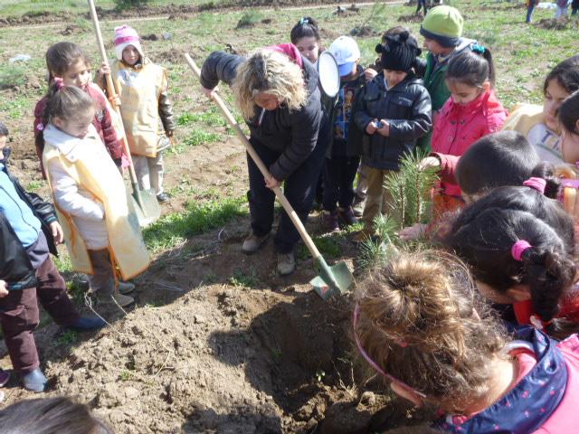 SHARING TREE PLANTING EVENT WITH ONE SCOUT ONE TREE PROGRAM