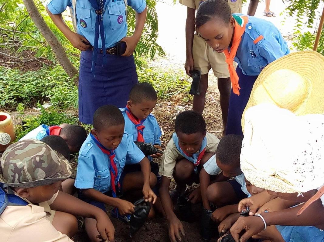 The Tily of the Menabe take part in the reforestation of Madagascar