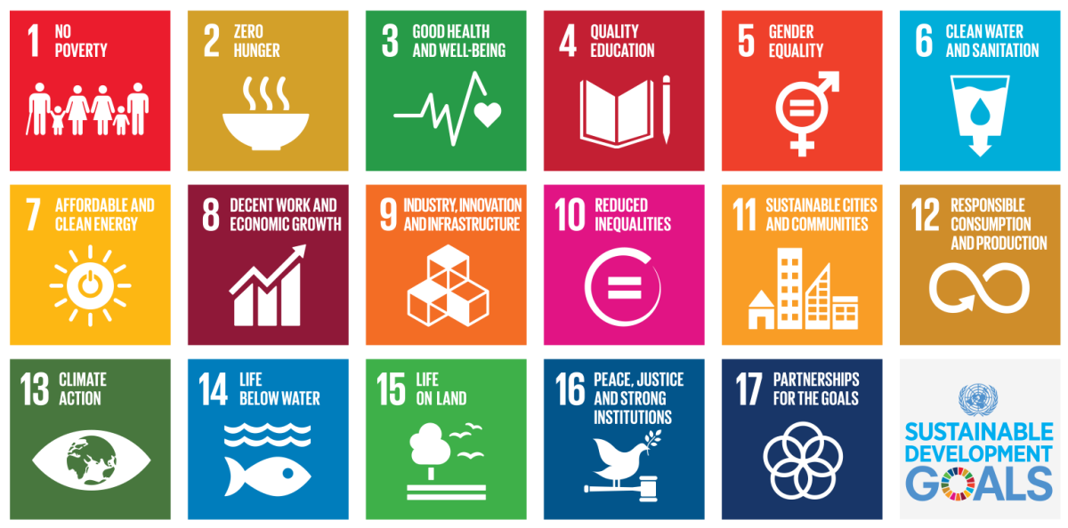 Scouting and the 2030 Agenda - "but why?"