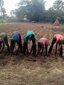 farming to help others 