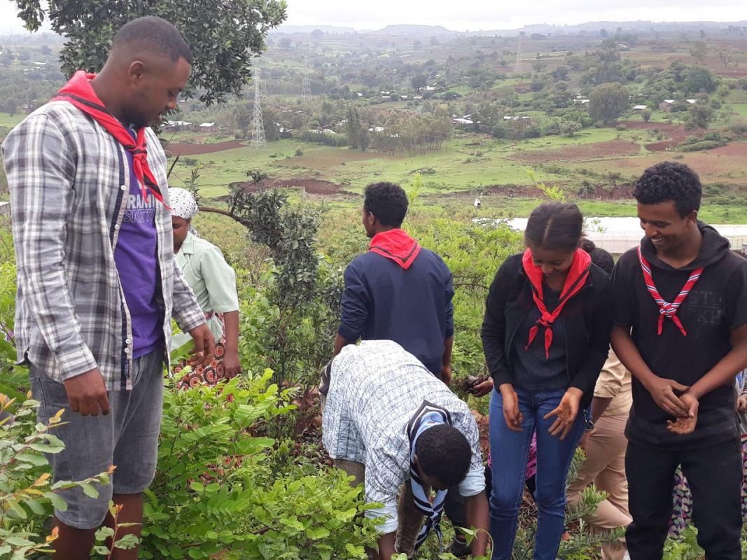 Ethiopian scout association, Amhara region scout council participating on planting trees for Blue-Nile River 