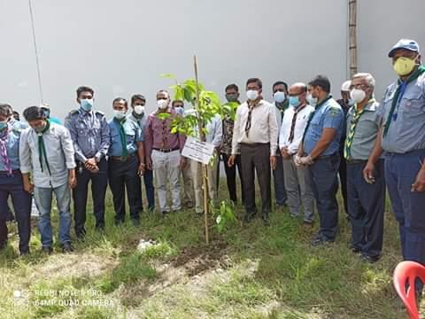 বৃক্ষরোপন কর্মসূচি 