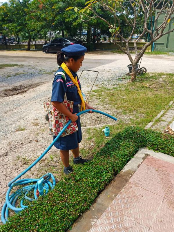 รดน้ำต้นไม้