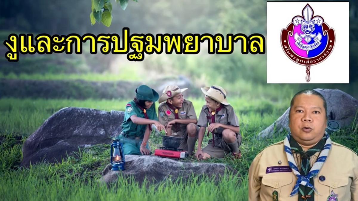 งูและการปฐมพยาบาลงูกัด