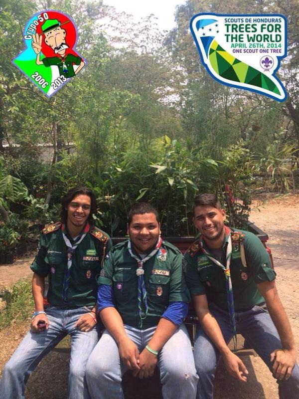 proyecto de reforestación ¨Arboles por el mundo¨