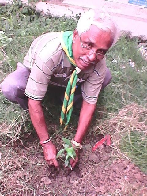 Tree Plantation