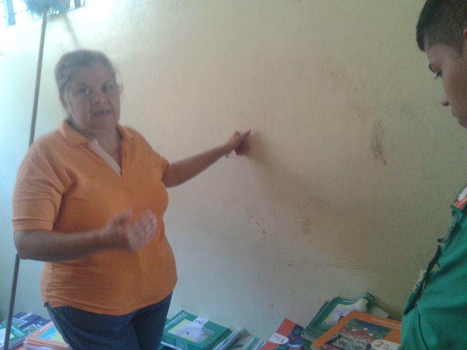 Toma Rover 2016