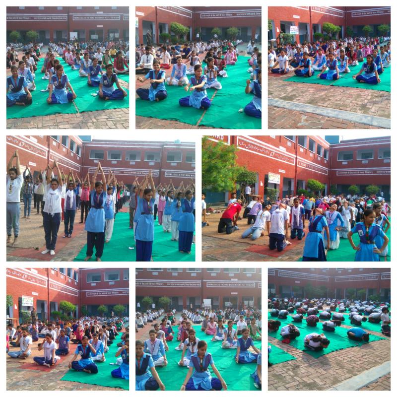 Celebrate international yoga day