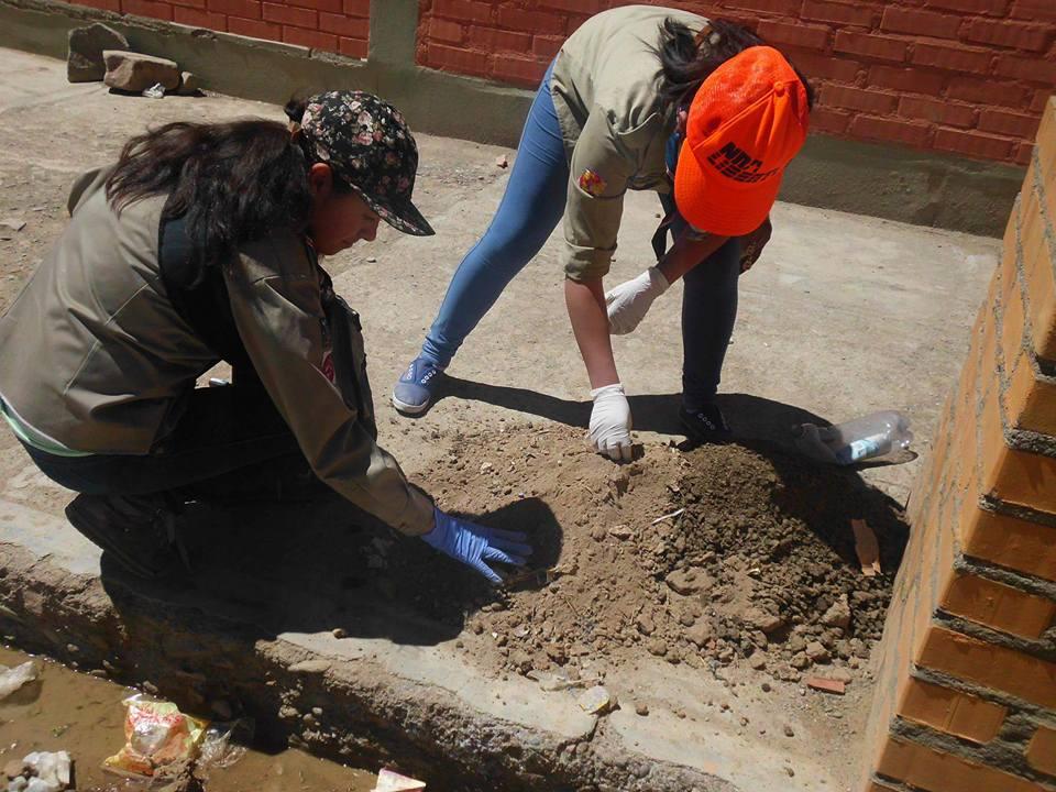 Arborización en la Unidad Educativa "Beneméritos de la Patria"