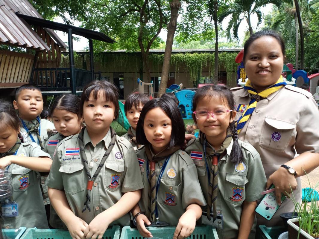 ปลูกถั่วเขียว