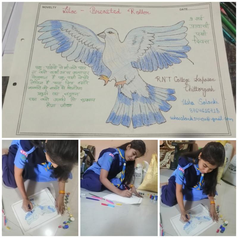 #9 मई: विश्व प्रवासी पक्षी दिवस