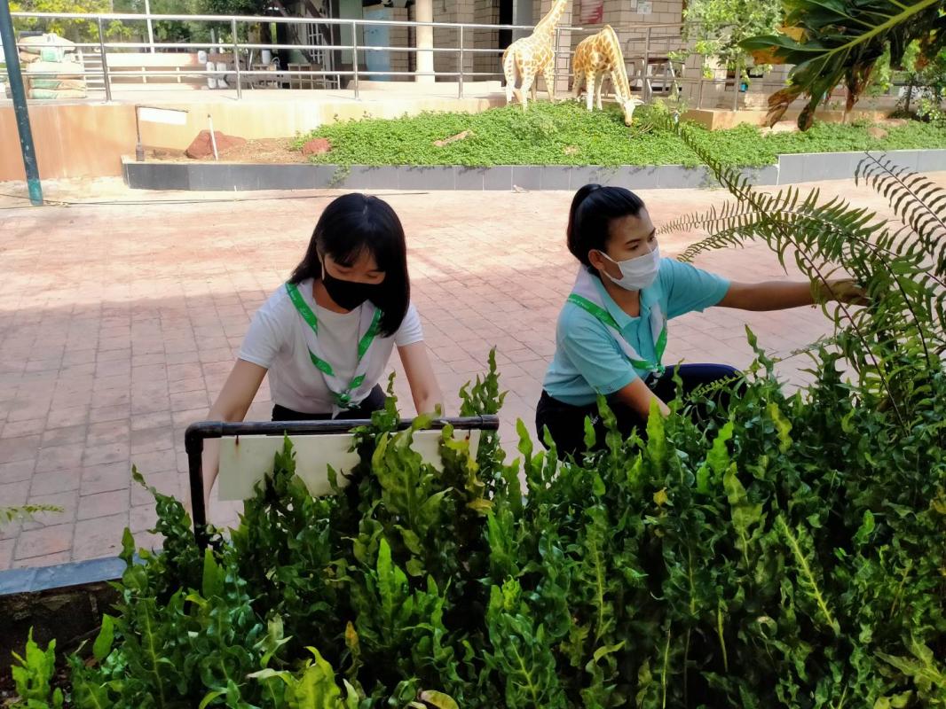 กิจกรรมปลูกต้นไม้ป้องกันเชื้อ Covid -19