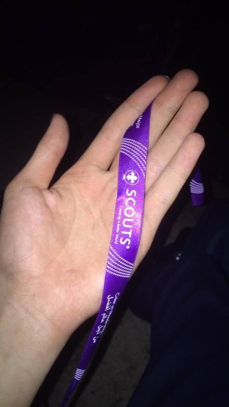 World scout film fest 