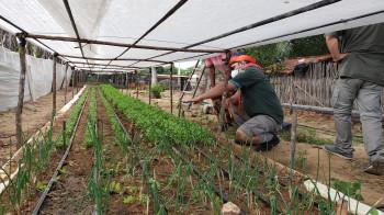 Projeto construção de horta comunitária