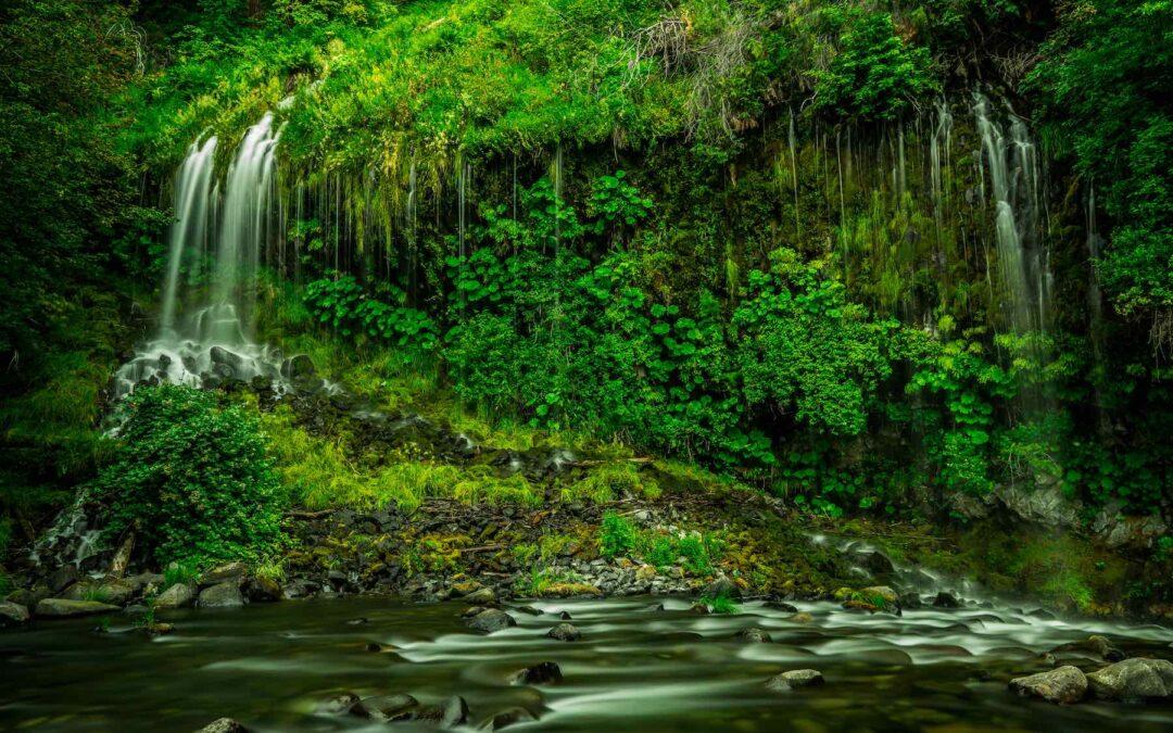 life on land