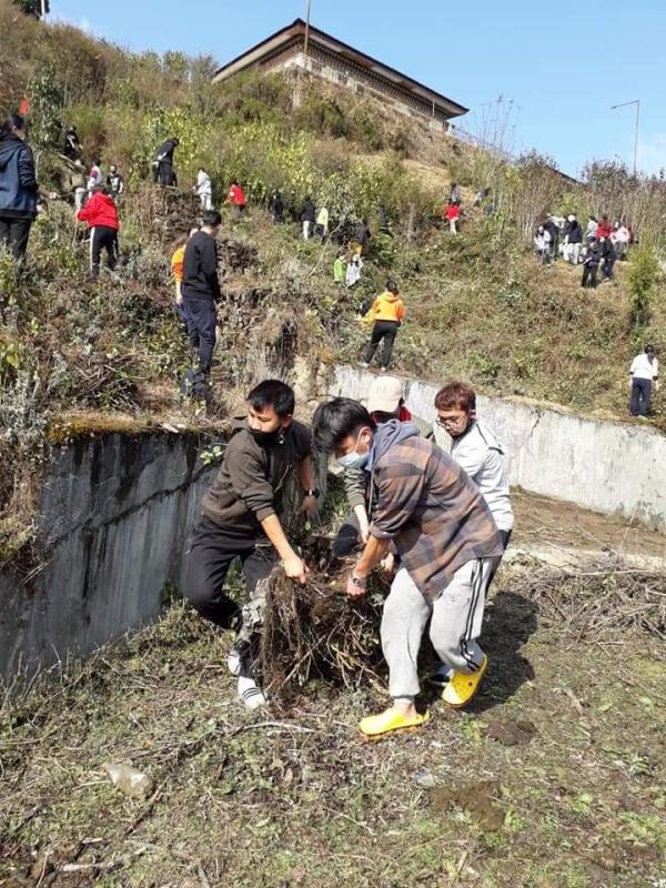 In Preparation of Planting Orchid Tree