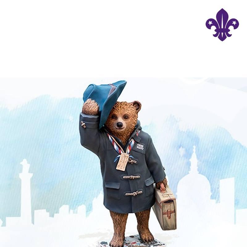 My Log Book World Scouting