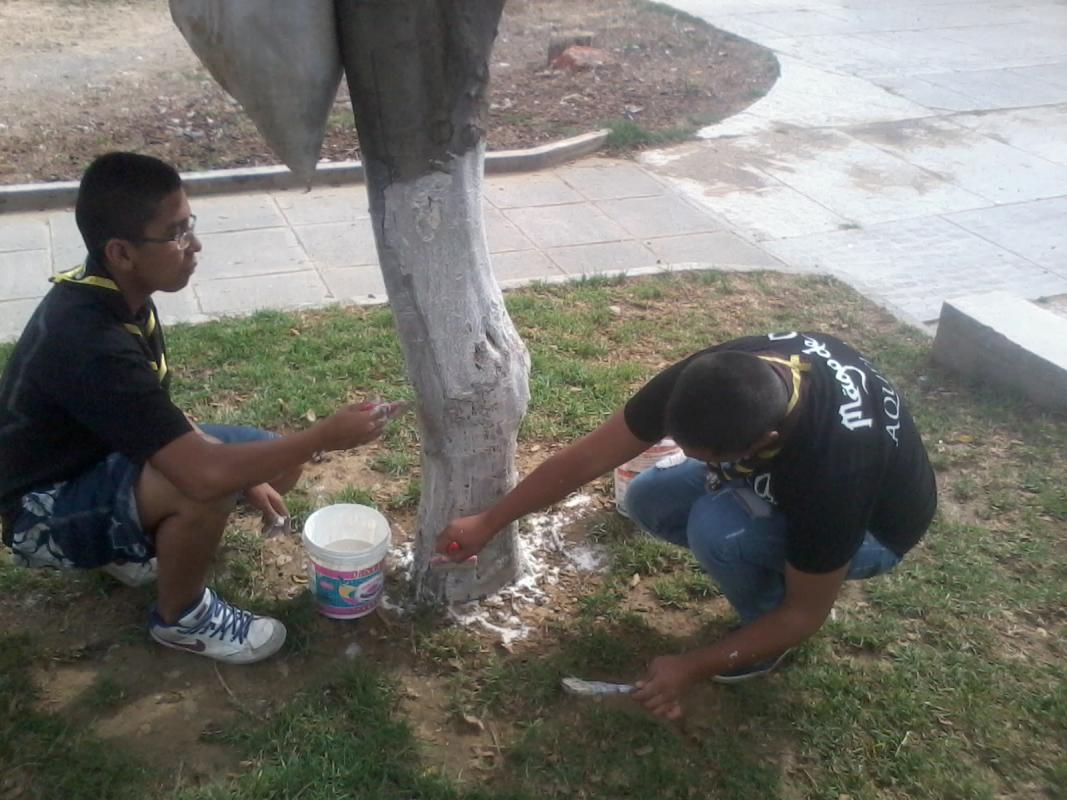 !Cuidando nuestros pulmones!